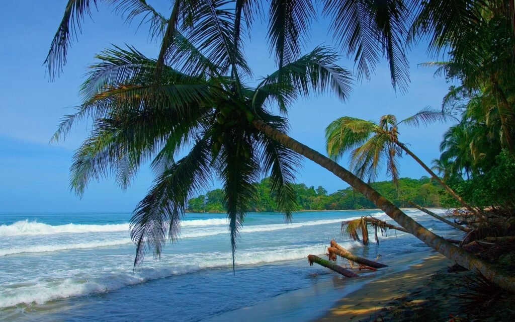 What to Do on May 1st in Costa Rica